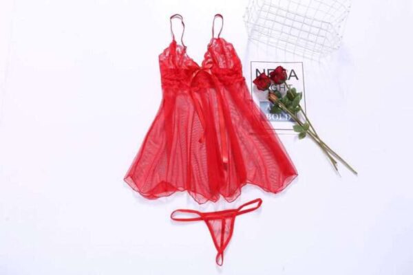 Transparent Premium Lace Mesh Sexy Women Lingerie